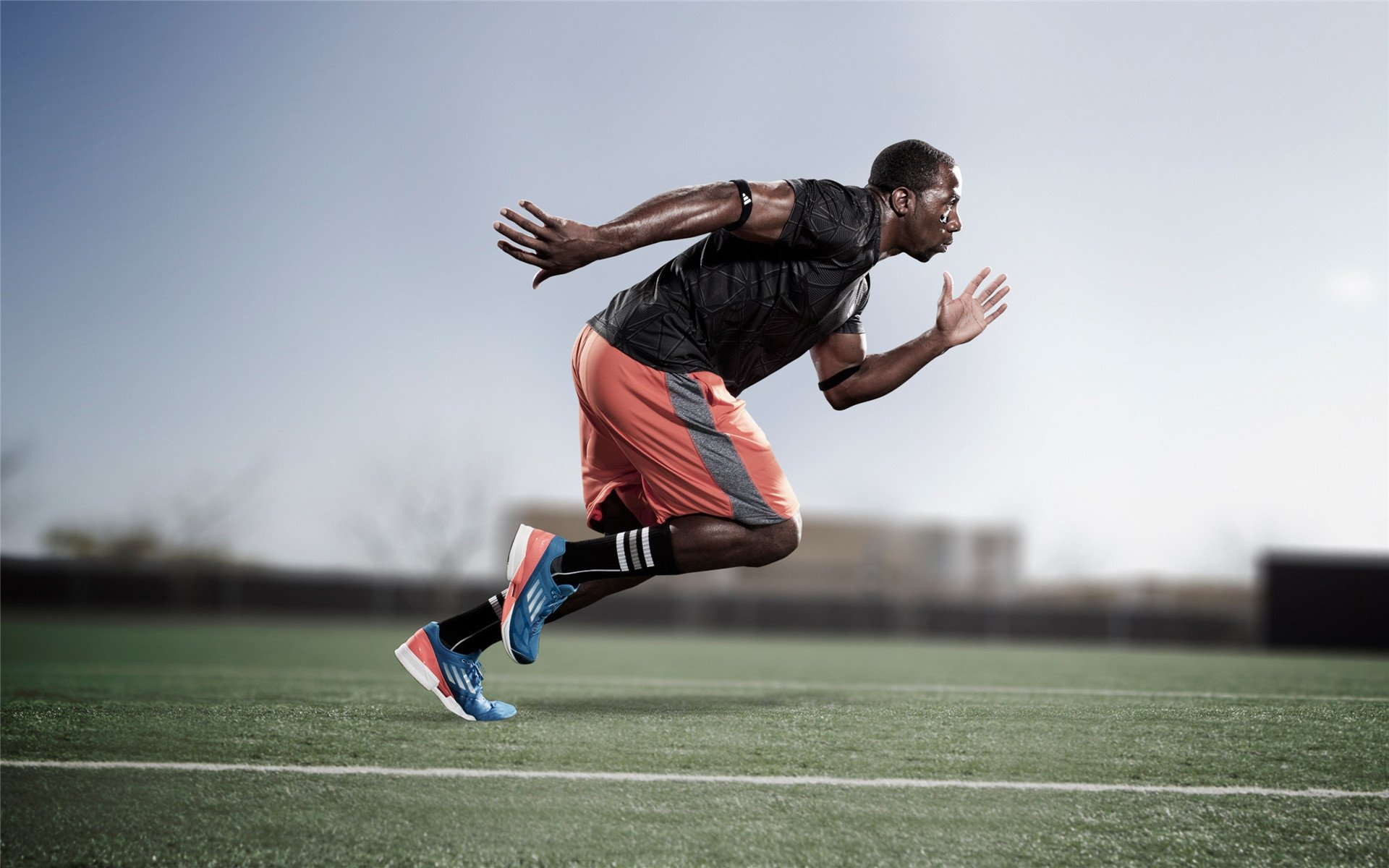 东契奇式领袖力,广东狂胜广厦背后的关键先生哲学